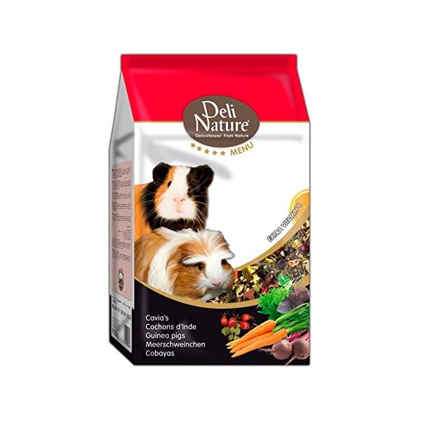 غذای خوکچه هندی مدل  deli nature وزن 1000 گرم